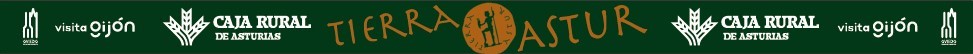 El diseño de la pulsera, de tela que Tierra Astur ha creado como apoyo a la cultura sidrera asturiana, la parte de detrás tiene un fondo verde y el logo de Tierra Astur en el centro en tonos terráqueos
